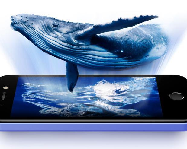 Дизайн в духе старых iPhone и съёмный аккумулятор: представлен смартфон Itel A20 за $51